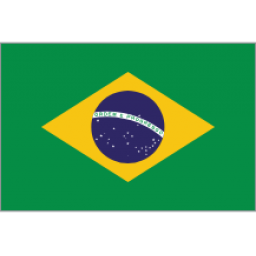 巴西女篮 巴西女篮